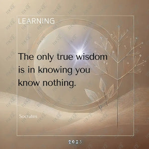 Social Media Post Image 21: Philosophical Quotes For Professionals: Socrates